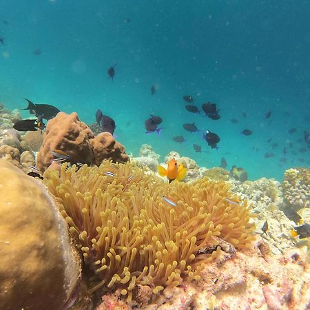 Kamadhoo Inn Екстериор снимка