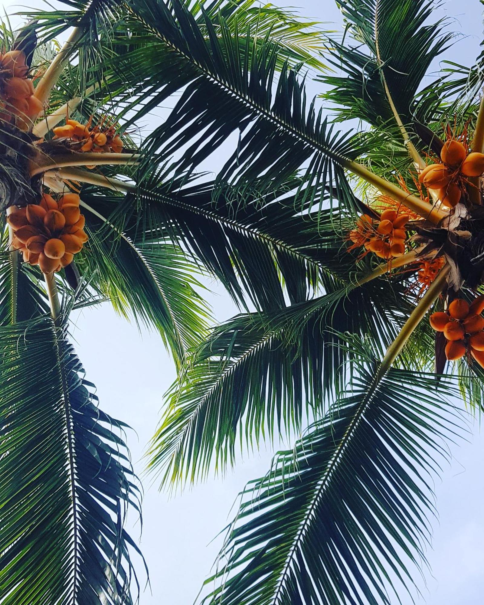 Kamadhoo Inn Екстериор снимка